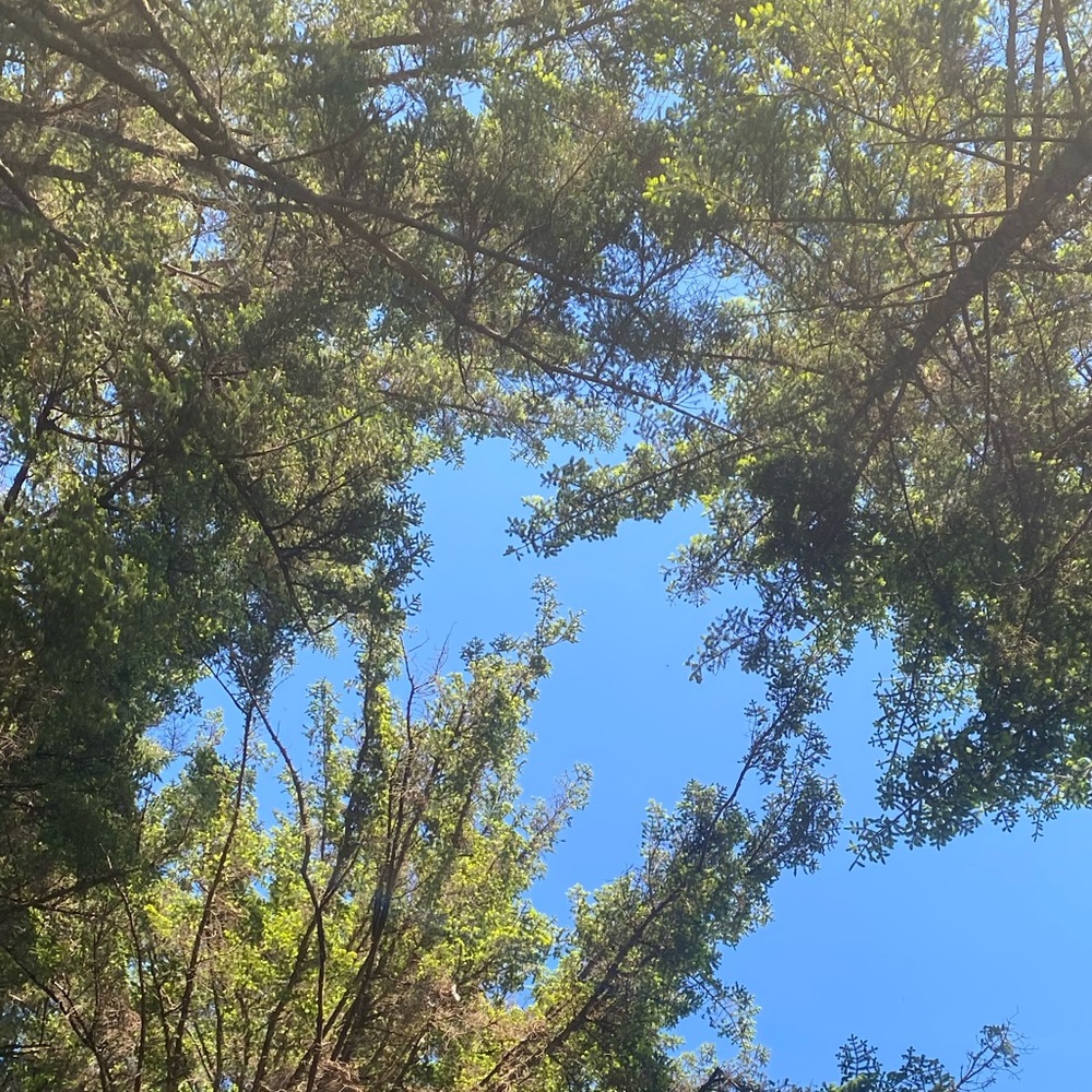 Meet your Posher, Erlyn